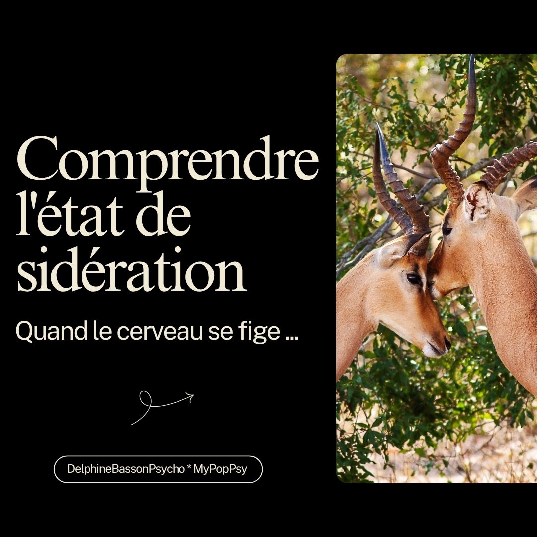 Quand le cerveau se fige : comprendre l’état de sidération