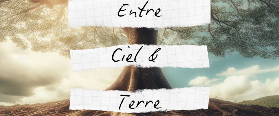 S&rsquo;ancrer pour ne plus perdre pied